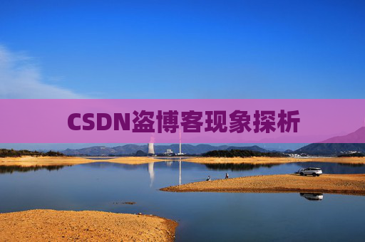 CSDN盗博客现象探析 CSDN盗博客现象探析